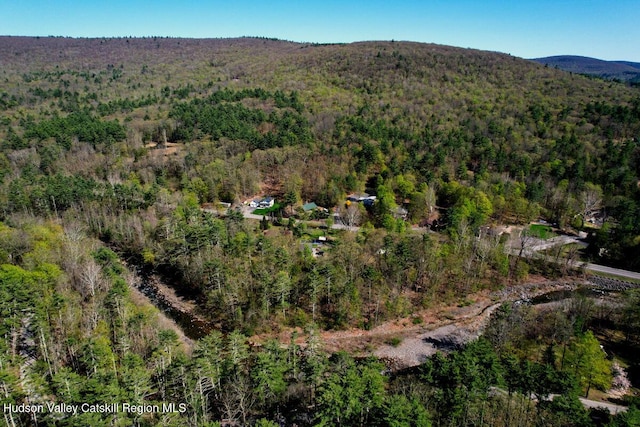 5305 Rte 212, Mount Tremper, NY 12457