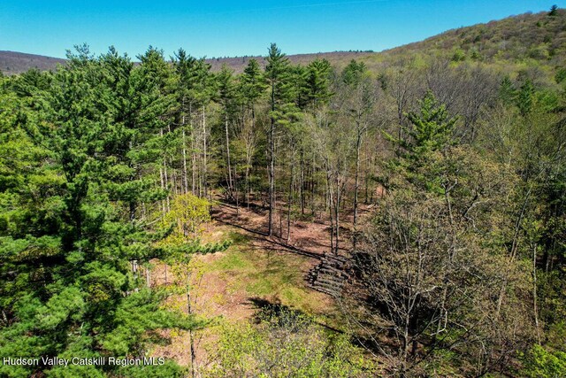 5305 Rte 212, Mount Tremper, NY 12457