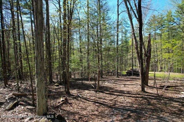 5305 Rte 212, Mount Tremper, NY 12457