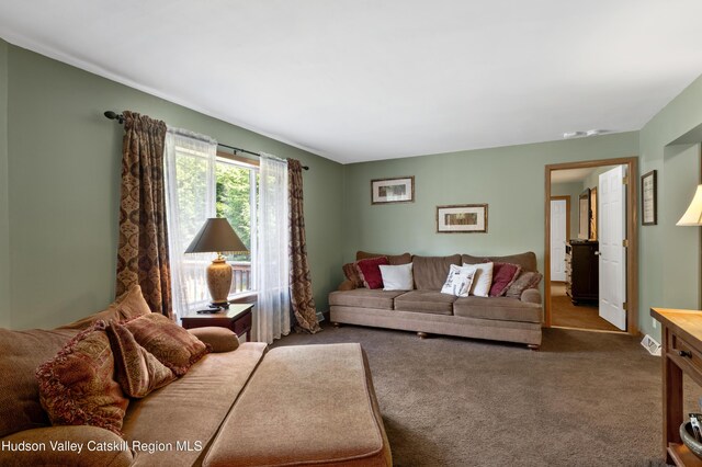 190 Deer Run Rd, Ashland, NY 12407 - living area with carpet floors