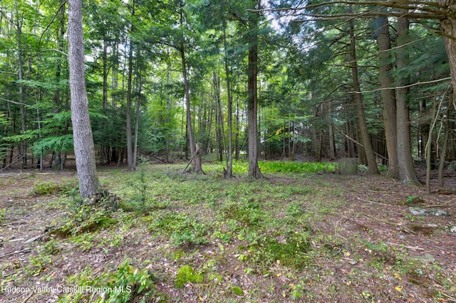 190 Deer Run Rd, Ashland, NY 12407 - view of tree filled area