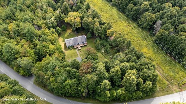 190 Deer Run Rd, Ashland, NY 12407 - aerial view of a heavily wooded area