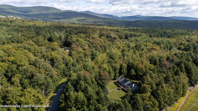 190 Deer Run Rd, Ashland, NY 12407 - aerial view of a heavily wooded area and a mountainous background