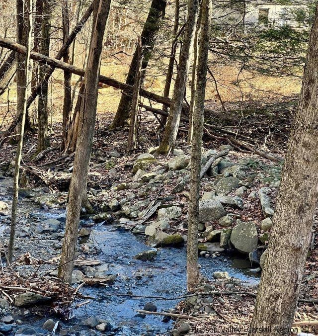 view of local wilderness