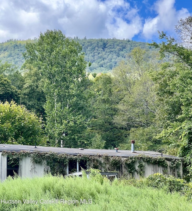 property view of mountains