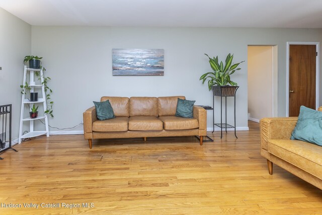121 Rayna St, Hurley, NY 12443 - living room with light wood-style flooring and baseboards