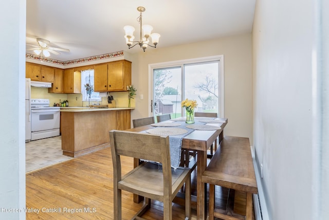 121 Rayna St, Hurley, NY 12443 - dining area with a chandelier, ceiling fan, and light wood-style floors