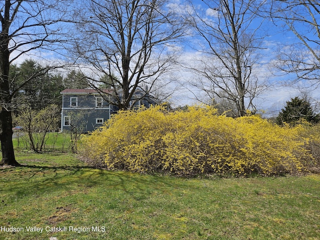 463 Cairo Junction Rd, Catskill, NY 12414 - view of grassy yard