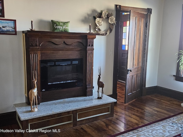 interior details featuring baseboards, wood finished floors, and a glass covered fireplace