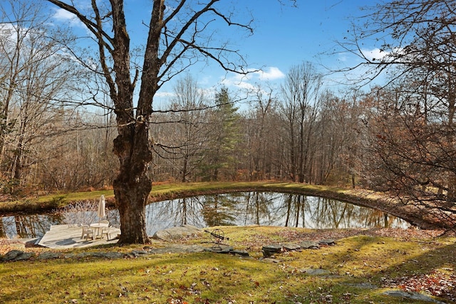 property view of water