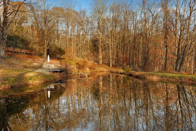 view of water feature