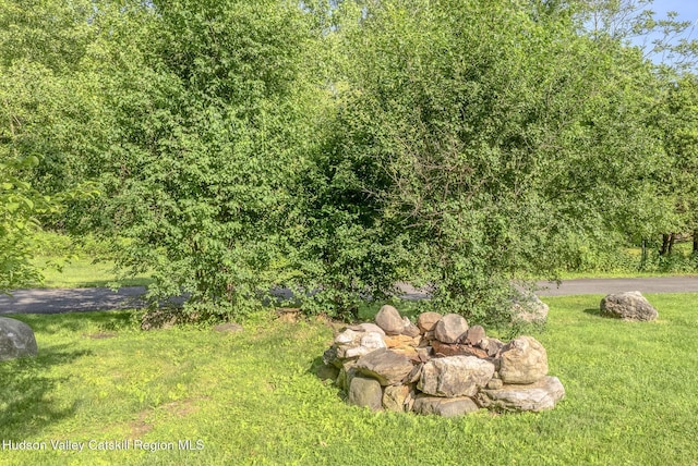 14 Kemble Ter, Hurley, NY 12443 - photo 45