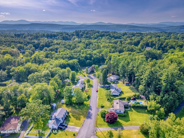 14 Kemble Ter, Hurley, NY 12443 - photo 46