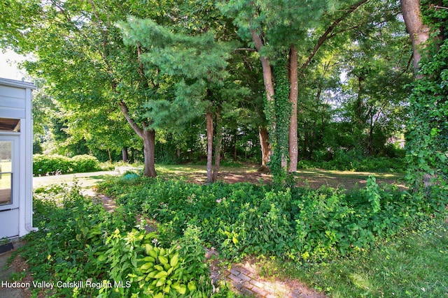 50 Lipton St, Kingston, NY 12401 - photo 33