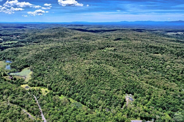 630 County Route 11, Ancram, NY 12502 - bird's eye view of a forest and mountains