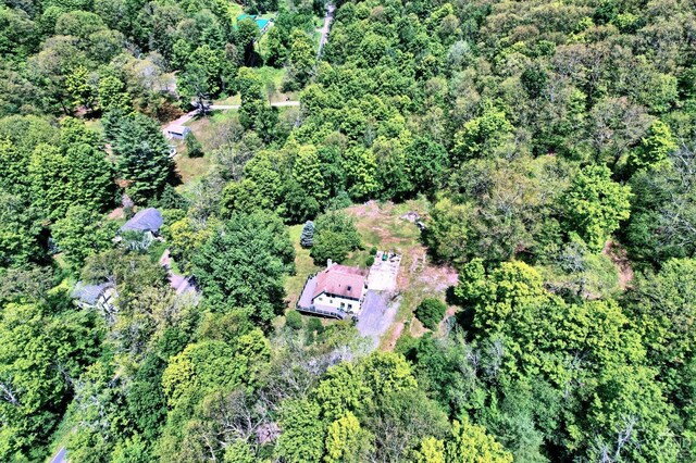 630 County Route 11, Ancram, NY 12502 - aerial overview of property's location with a heavily wooded area
