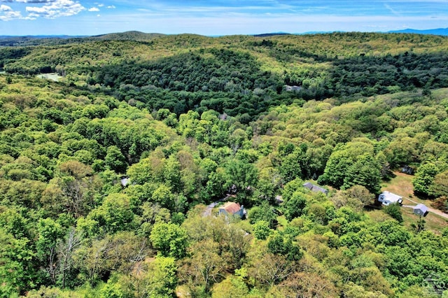 630 County Route 11, Ancram, NY 12502 - photo 19