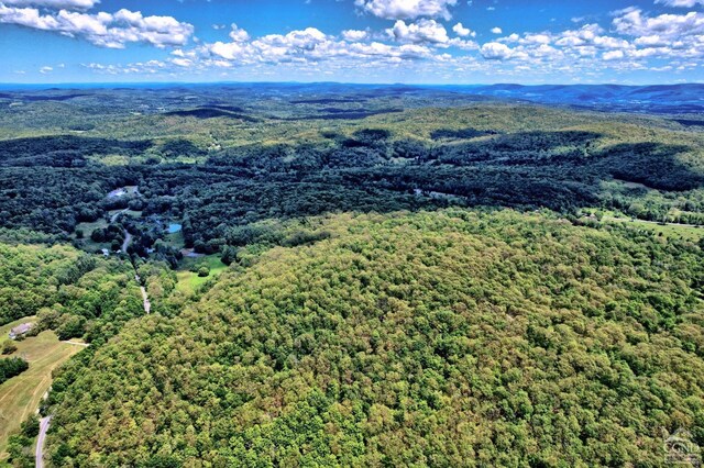 630 County Route 11, Ancram, NY 12502 - aerial view of a heavily wooded area and a mountainous background