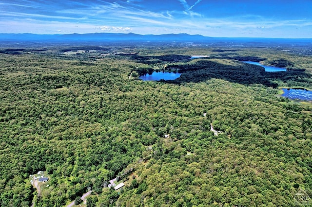 630 County Route 11, Ancram, NY 12502 - aerial view of a water and mountain view and a heavily wooded area