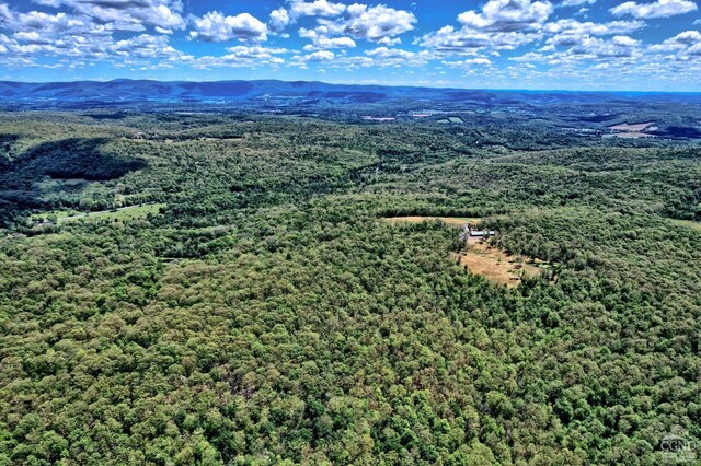 630 County Route 11, Ancram, NY 12502 - aerial view of a mountain backdrop