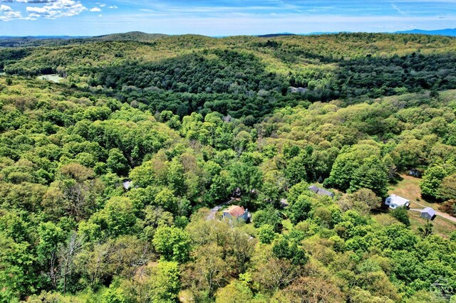 630 County Route 11, Ancram, NY 12502 - bird's eye view of a heavily wooded area