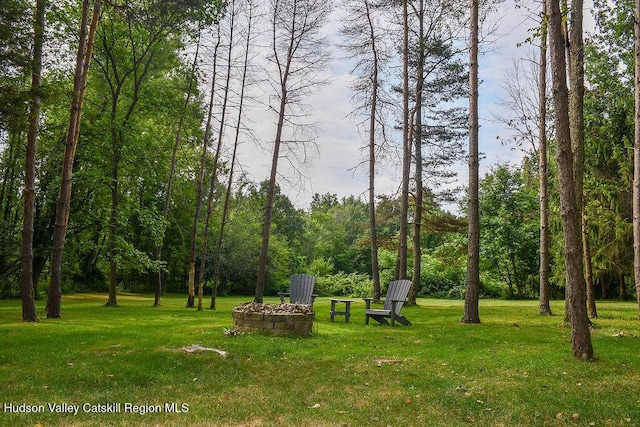 532 County Route 32, North Chatham, NY 12132 - photo 4