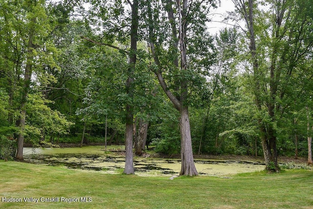 532 County Route 32, North Chatham, NY 12132 - photo 25