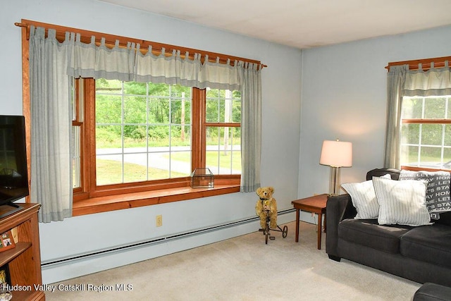 532 County Route 32, North Chatham, NY 12132 - photo 18