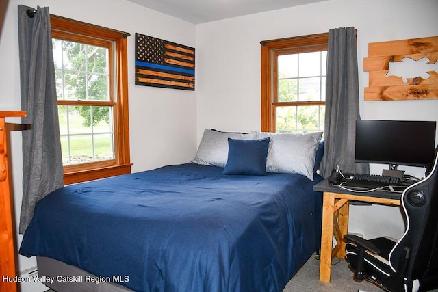 532 County Route 32, North Chatham, NY 12132 - photo 23