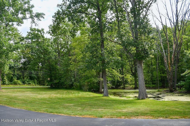 532 County Route 32, North Chatham, NY 12132 - photo 28