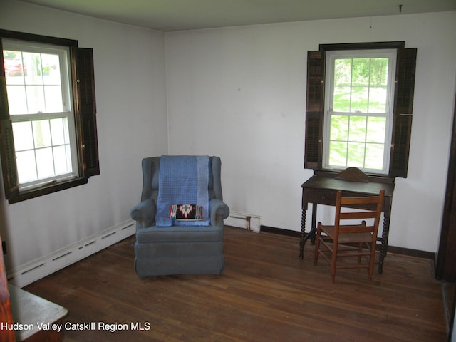 12 Fabiano Blvd, Hudson, NY 12534 - living area with a baseboard heating unit and wood finished floors