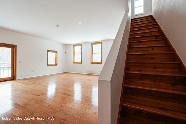 stairway with hardwood / wood-style flooring