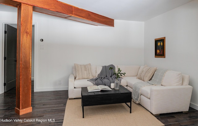 living room with dark hardwood / wood-style flooring