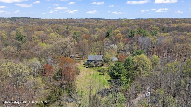 455 Post Hill Rd, Craryville, NY 12534 - view from above of property with a forest