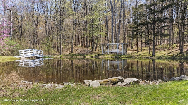455 Post Hill Rd, Craryville, NY 12534 - view of yard