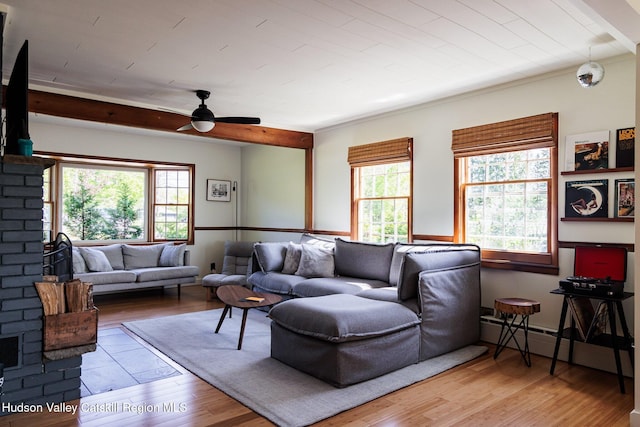 853 Shandelee Rd, Livingston Manor, NY 12758 - photo 4
