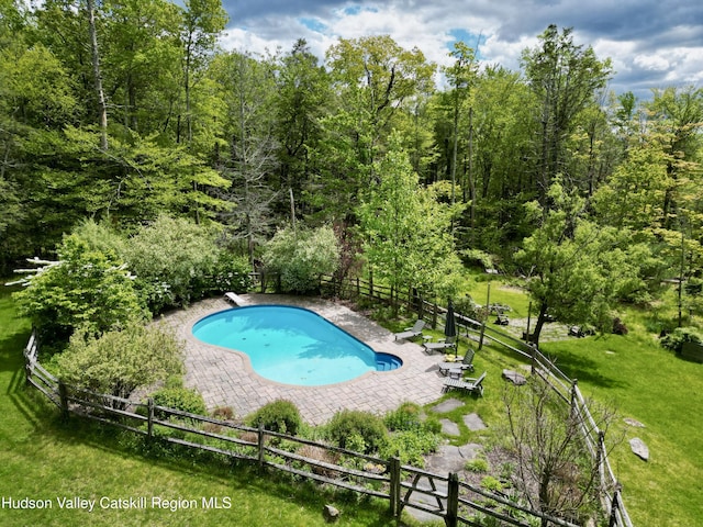 94 The Middle Way, Mount Tremper, NY 12457 - view of swimming pool with a patio area