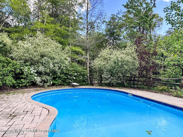 94 The Middle Way, Mount Tremper, NY 12457 - view of swimming pool