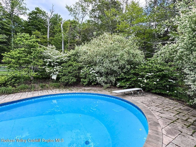 94 The Middle Way, Mount Tremper, NY 12457 - outdoor pool featuring a diving board