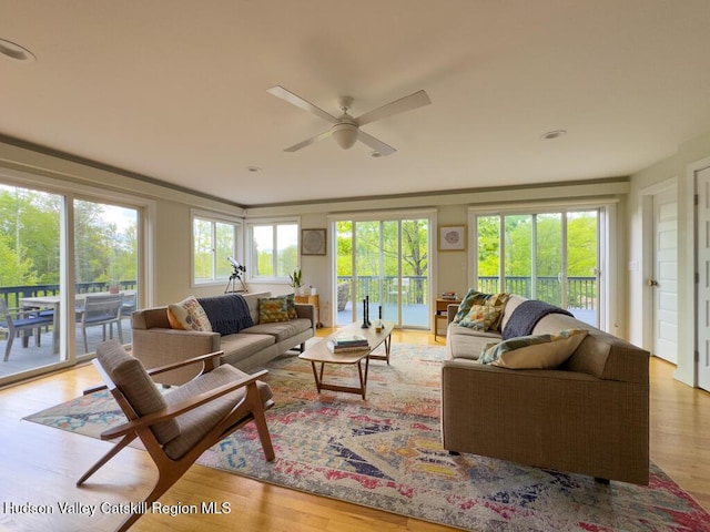 94 The Middle Way, Mount Tremper, NY 12457 - living room featuring a ceiling fan and wood finished floors