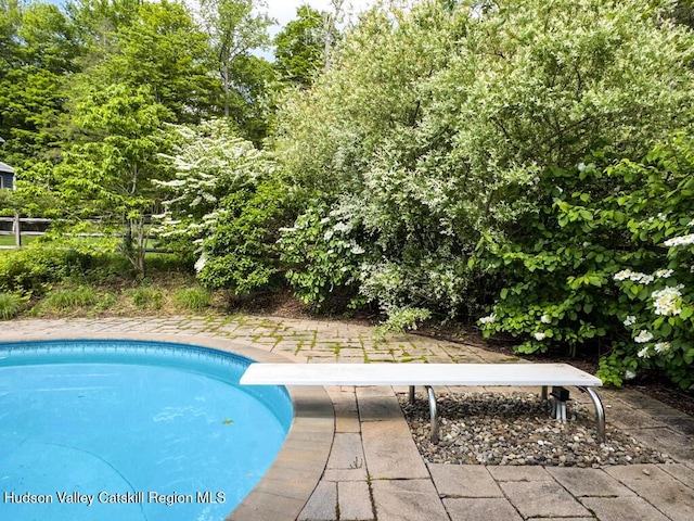 94 The Middle Way, Mount Tremper, NY 12457 - swimming pool with a diving board