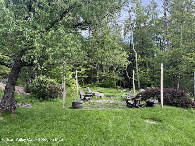 94 The Middle Way, Mount Tremper, NY 12457 - view of grassy yard