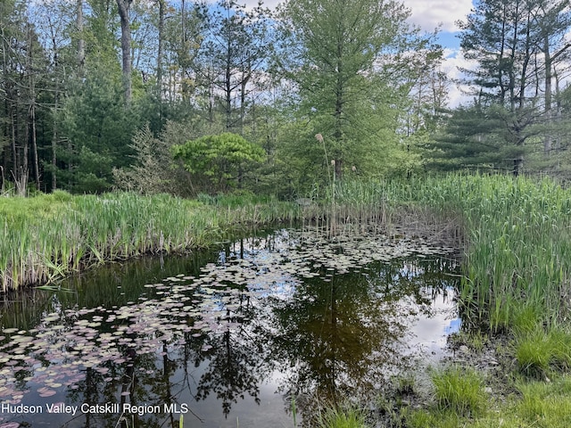 94 The Middle Way, Mount Tremper, NY 12457 - water view with a heavily wooded area