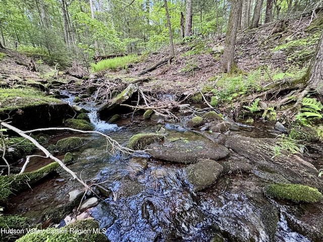 94 The Middle Way, Mount Tremper, NY 12457 - view of local wilderness