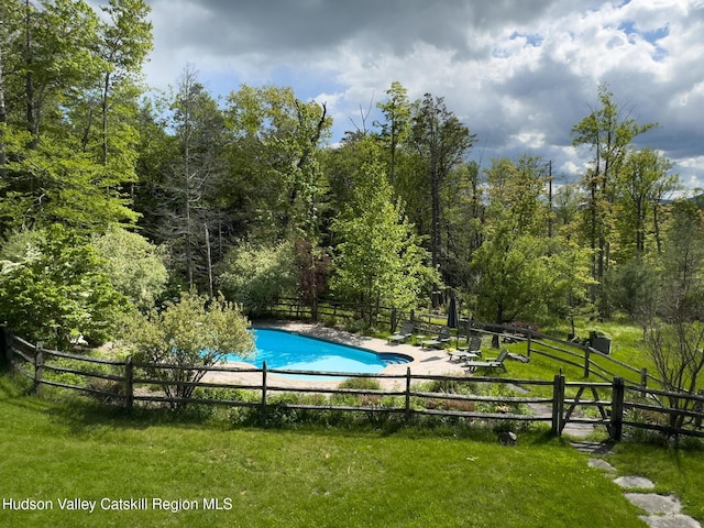 94 The Middle Way, Mount Tremper, NY 12457 - view of swimming pool featuring a patio