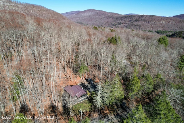 bird's eye view with a mountain view