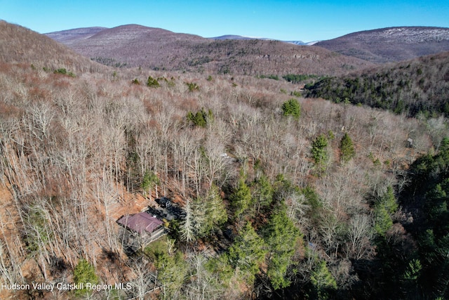 view of mountain feature