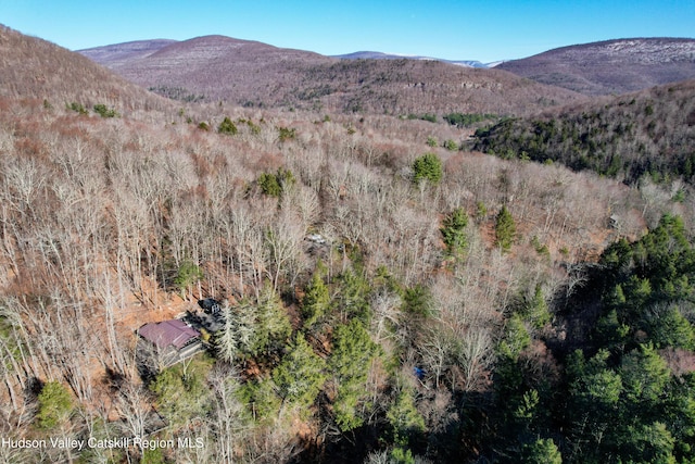 property view of mountains