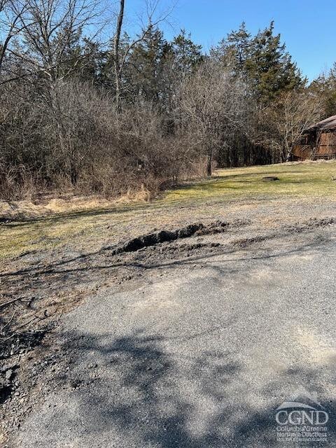 12 Sunset Ct, Athens, NY 12015 - photo 8