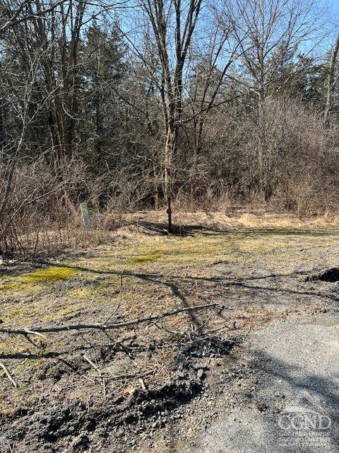 12 Sunset Ct, Athens, NY 12015 - photo 7